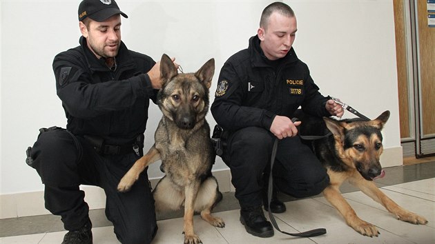 Policejní služební psi z vrhu, pro který vybírala jména veřejnost. Na snímku fena Bára a pes Armin s psovody Markem Stroleným a Jakubem Trávníčkem.
