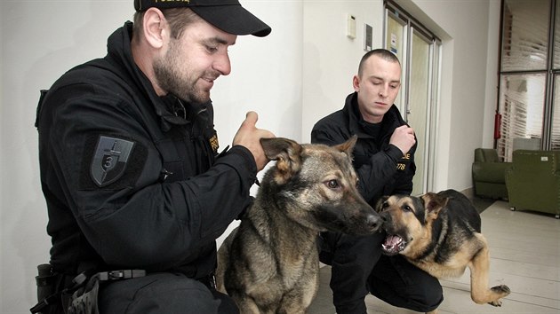 Policejní služební psi z vrhu, pro který vybírala jména veřejnost. Na snímku fena Bára a pes Armin s psovody Markem Stroleným a Jakubem Trávníčkem.