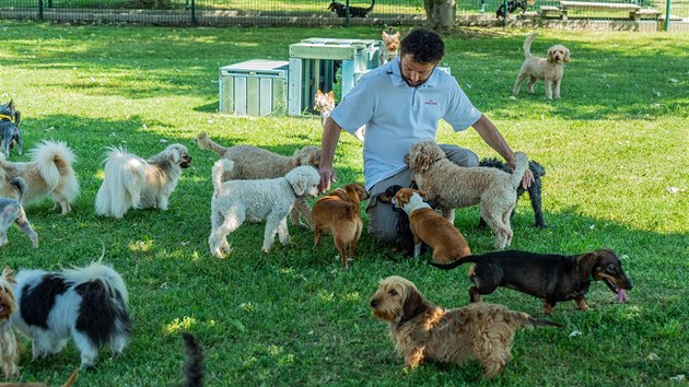 Na 160 psů a 180 koček různých plemen žije v jihofrancouzském areálu firmy Royal Canin. Mají péči jako ve zvířecím hotelu a jejich prací je ochutnávání nových granulí. Experti poté zjišťují, které chutě a jaké složení nejvíce vyhovuje zažívacímu traktu či například kvalitě srsti toho či onoho plemene. 