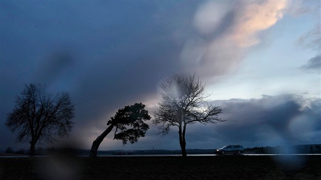 Stará borovice nedaleko Jihlavy poutá pozornost v proměnách světla i počasí a mnohé fotografy už doslova uhranula.