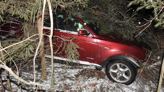 Aby mohli hasii auto vythnout, museli stromy a dal porost pokcet motorovmi pilami. (2. ledna 2019)