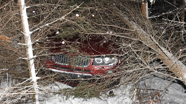 Aby mohli hasii auto vythnout, museli stromy a dal porost pokcet motorovmi pilami. (2. ledna 2019)