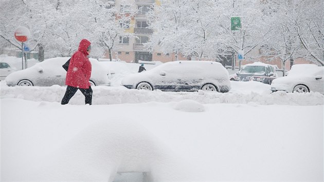 Jablonec nad Nisou se potk se snhovou kalamitou. (9. ledna 2019)