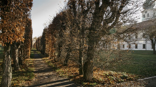 Zahrada. Rozshl park obklopujc klter se t nazv Marktsk zahrada. Dl se na horn st, oznaovanou t jako bevnovsk sad. 