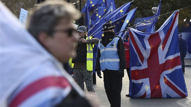 Demonstrace pznivc i odprc brexitu v Londn (9. ledna 2019)