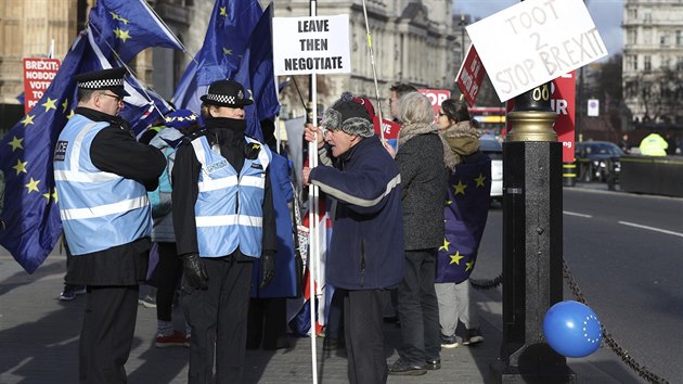 Demonstrace pznivc i odprc brexitu v Londn (9. ledna 2019)