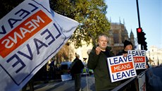 Skupinka p�íznivc� brexitu demonstruje p�ed Westminsterským palácem (8. 1....