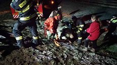 Jedenáct hasičů ve středu v Hrochově Týnci tahalo býka ze studně.