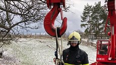 Jedenáct hasičů ve středu v Hrochově Týnci tahalo býka ze studně.