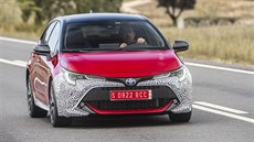 Nová Toyota Corolla