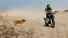 Pablo Quintanilla během třetí etapy Dakaru potkal psa.