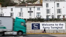 Kamiony zahltily dopravu do přístavu Dover na jihu Anglie při testu...