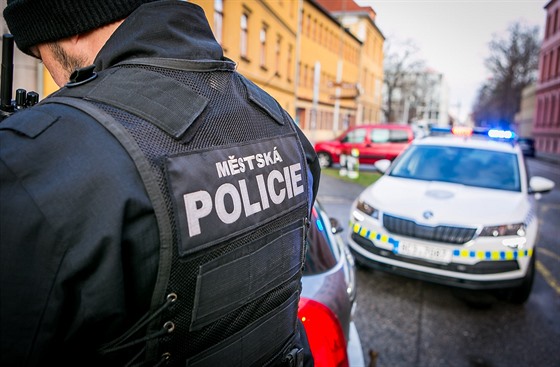 Mstská policie v eských Budjovicích