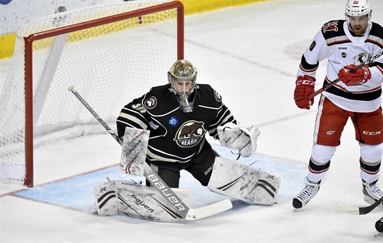 Vítek Vanek v dresu Hershey Bears.