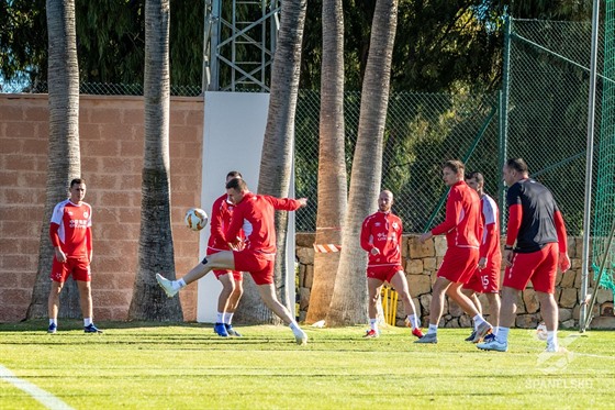 Fotbalisté Slavie pod dohledem koue Jindicha Trpiovského (vpravo) trénují ve...