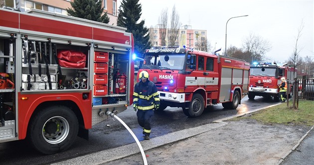 Poár bytu v Sokolov. (17. 1. 2019)