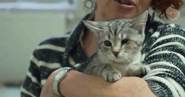 Toto koátko se nalo odloené u popelnic (spolu se svou matkou s temi...