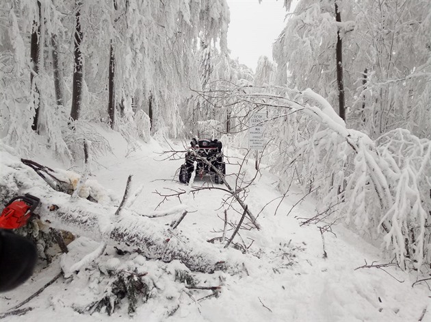 Ped tykolku horské sluby v Beskydech v lednu spadl zlomený strom.