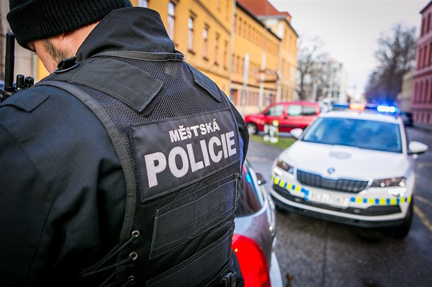 Mstská policie v eských Budjovicích