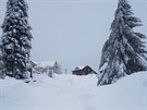 Zasnen Bo Dar (11. 1. 2019)