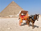 Koár je oblíbeným turistickým dopravním prostedkem u pyramid.
