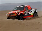 Martin Prokop v 8. etap Rallye Dakar.