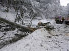 Odklzen popadanch strom na silnici u Janskch Lzn v Krkonoch.