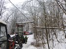 Odklzen popadanch strom na elektrick veden u Rudnku na Trutnovsku.