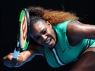 IKONA. Americk tenistka Serena Williamsov se po ron odmlce vrtila na...