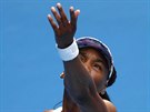 NEZMAR. Americká tenistka Venus Williamsová servíruje na svém 19. Australian...