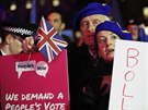 Demonstrace proti brexitu ped britským parlamentem (16. ledna 2019)