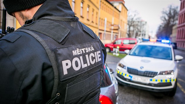 Městská policie v Českých Budějovicích