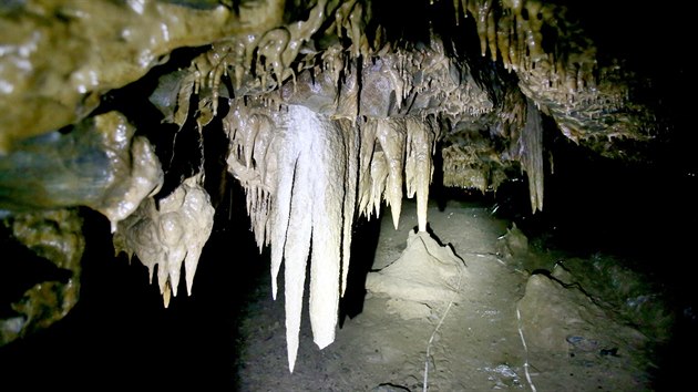 Krpnky v Amatrsk jeskyni Moravskho krasu rostou kvli nedostatku skapov vody pomaleji nebo vbec.