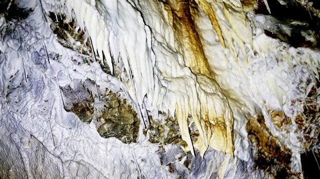 Amatérská jeskyně v Moravském krasu je proslulá svou bohatou krápníkovou výzdobou.