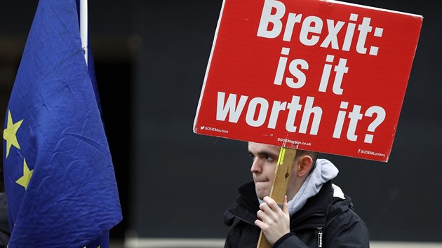 Demonstrant proti vystoupen Britnie z Evropsk unie (17.1.2019).