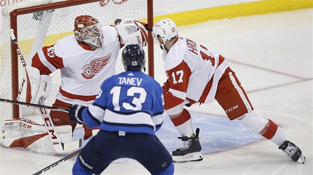 Brandon Tanev z Winnipegu skruje, brank  Jonathan Bernier a bek Filip Hronek z Detroitu glu nezabrnili.