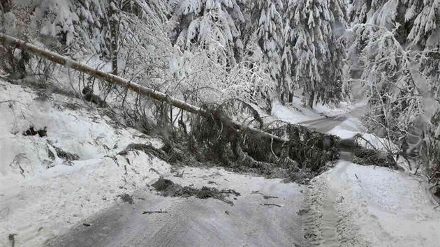 Hasiči v Karlovarském kraji odstraňovali stromy popadané v důsledku sněhu a silného větru. (14. ledna 2019)