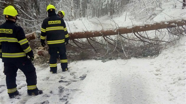 Hasii v Karlovarskm kraji odstraovali stromy popadan v dsledku snhu a silnho vtru. (14. ledna 2019)