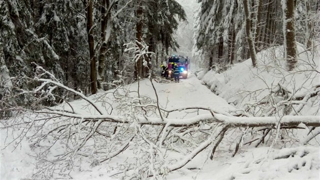 Hasiči v Karlovarském kraji odstraňovali stromy popadané v důsledku sněhu a silného větru. (14. ledna 2019)