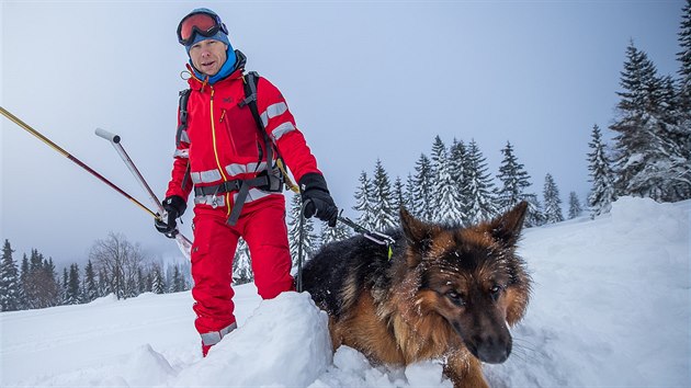 Lavinový kurz horské služby se psy u Richtrovek v Krkonoších (16.1.2019).