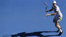 Tomá Berdych v prvním kole Australian Open.