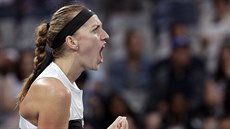 Pt zápas u vyhrála Petra Kvitová na letoním Australian Open. Zvládne i semifinále proti Ameriance Danielle Collinsové?  