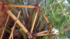 Bambus je v Ugand dostupným materiálem.
