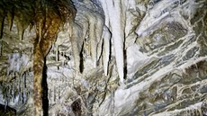 Krápníky v Amatérské jeskyni Moravského krasu rostou kv�li nedostatku skapové...