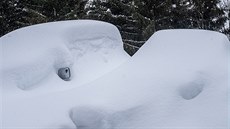 Zachumelená auta u chaty Dvín v Peci pod Snkou (16.1.2019).