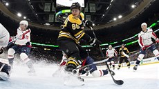 David Pastrák z Boston Bruins operuje v brankoviti soupee.