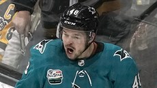 Tomá Hertl ze San Jose slaví gól proti Pittsburghu.