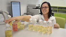 Laborantka aneta Beová pijímá nové referenní vzorky vín v nové laboratoi,...