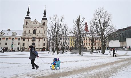 Ob lípy, které nechá msto pokácet, jsou viditelné pi pohledu od bývalé...