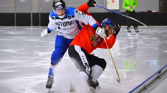 Momentka z utkání esko - Estonsko.